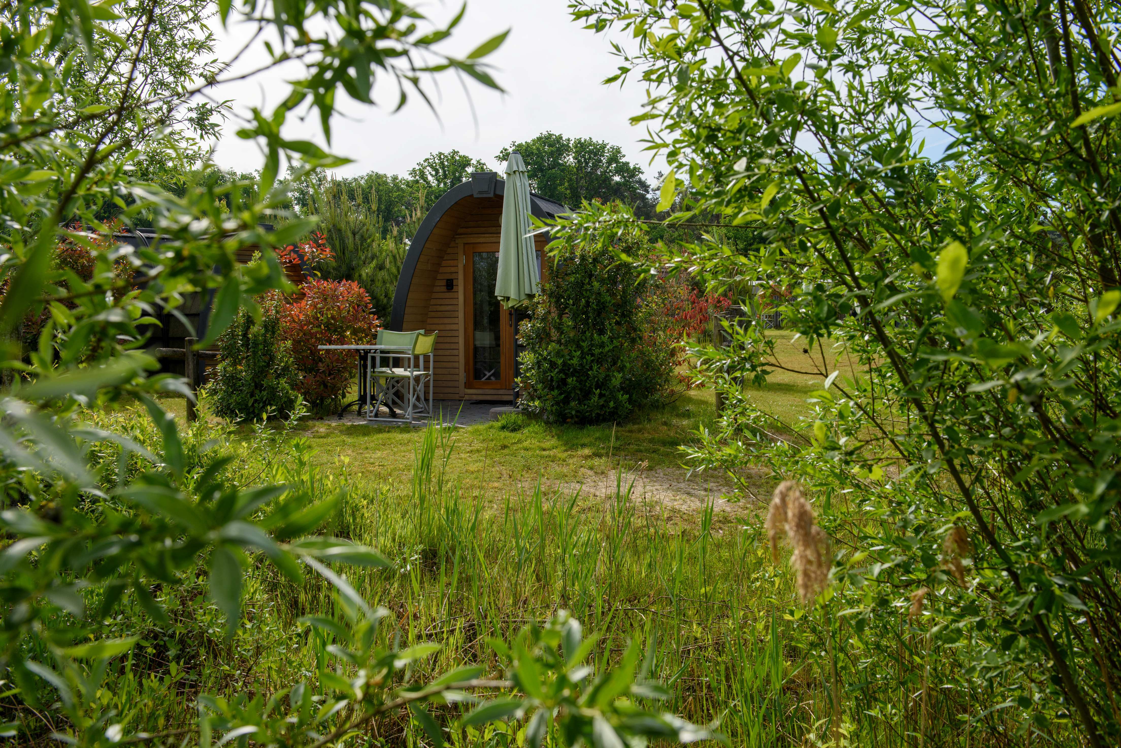 Natuurpod 1 zomer